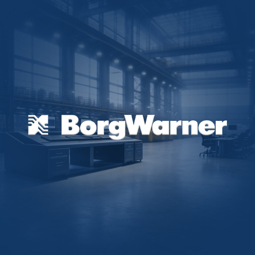 borg wagner-28